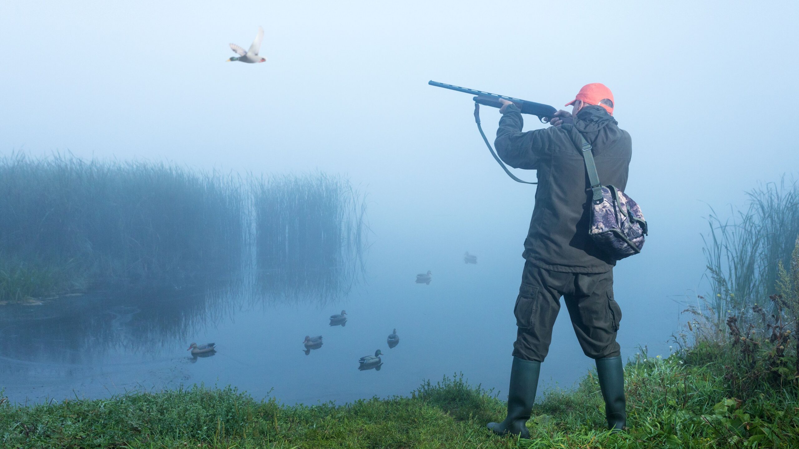 Why Some Hunters Use Audible Tools in Off-Season Prep